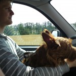 on the road...again