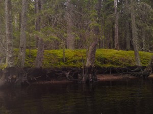 underbar natur